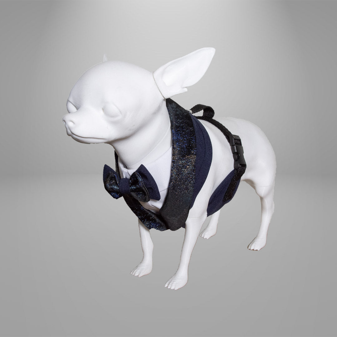 dog tuxedo for wedding