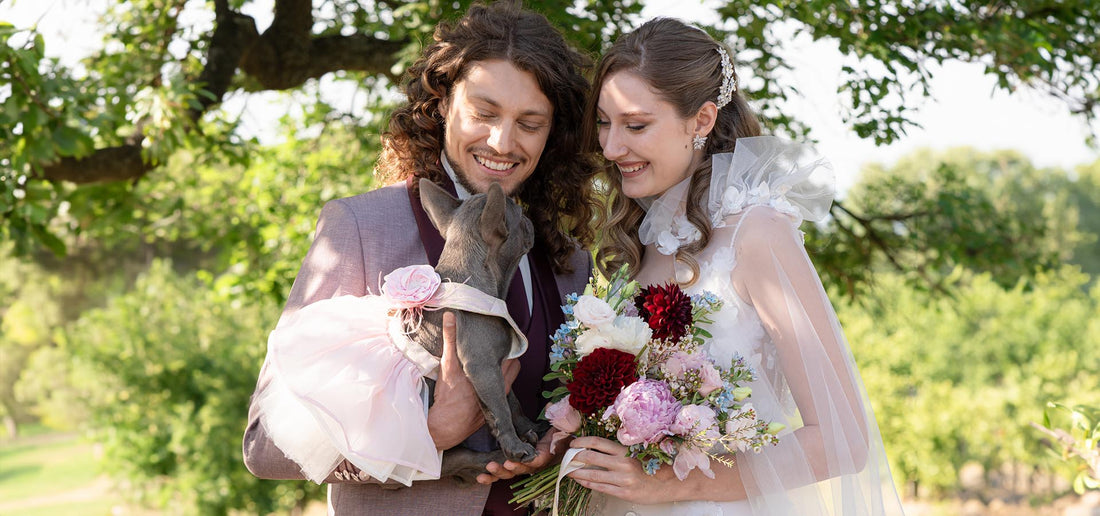 How to Include Your Dog in Your Wedding Ceremony