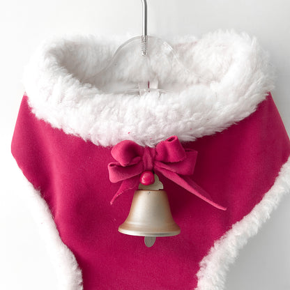 vêtements de chien comme le père Noël avec une cloche