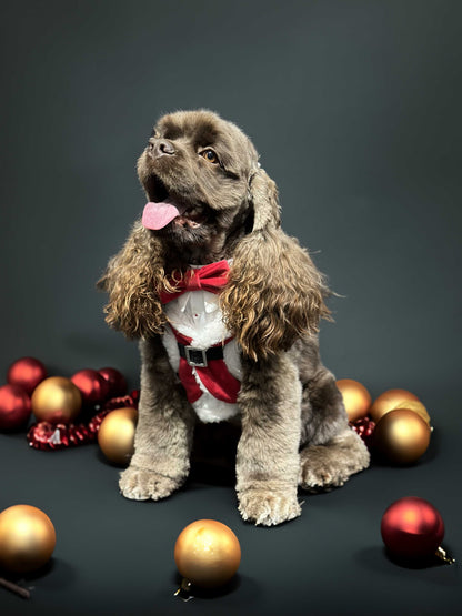  Vestido navideño para perros usado por un perro