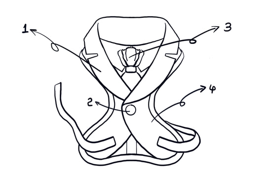 dog tuxedo harness with tie elegant wedding outfit