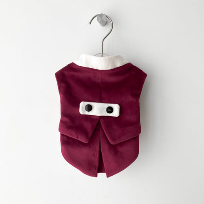 pull pour chien rouge et blanc avec boutons pour Noël