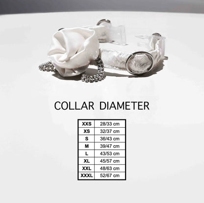 choose the perfect size for your dog collar