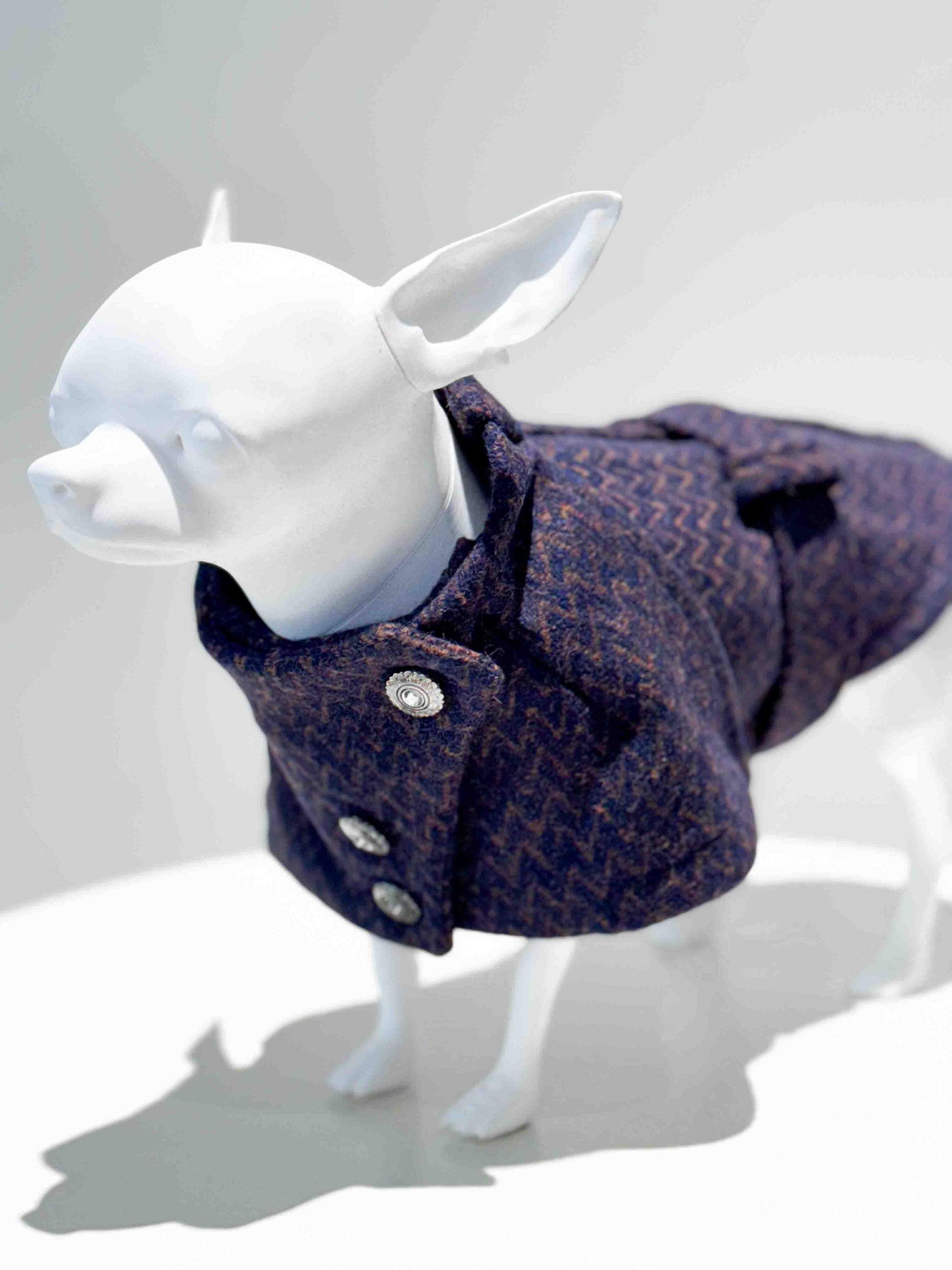 Dress for a dog: Custom wool winter coat with jewel buttons, perfect for stylish dogs in sweaters.