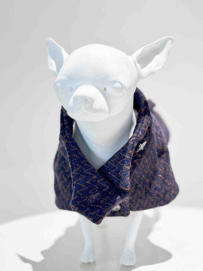Stylish dogs in sweaters: Custom wool coat with herringbone pattern and sparkling jewel buttons.