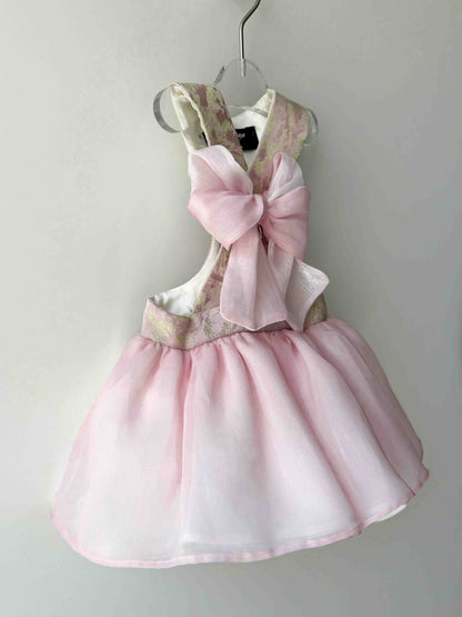 vêtements de mariée pour chien