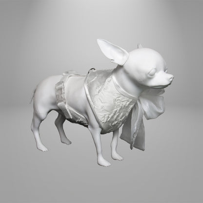 manichino chihuahua con tessuto in rilievo bianco, fiocco lucido con pieghe a sinistra, nastro in sbieco bianco lucido, regolabile con cinturino