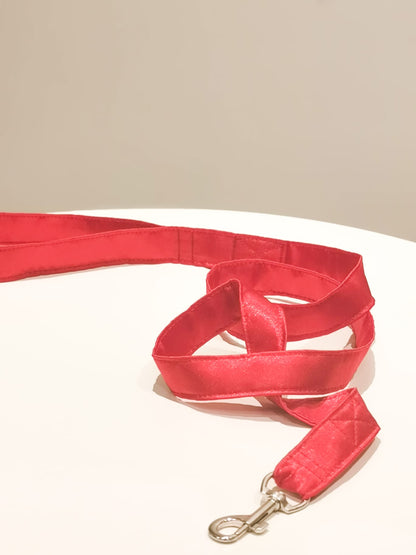  red leash to match your dress or dog harness
